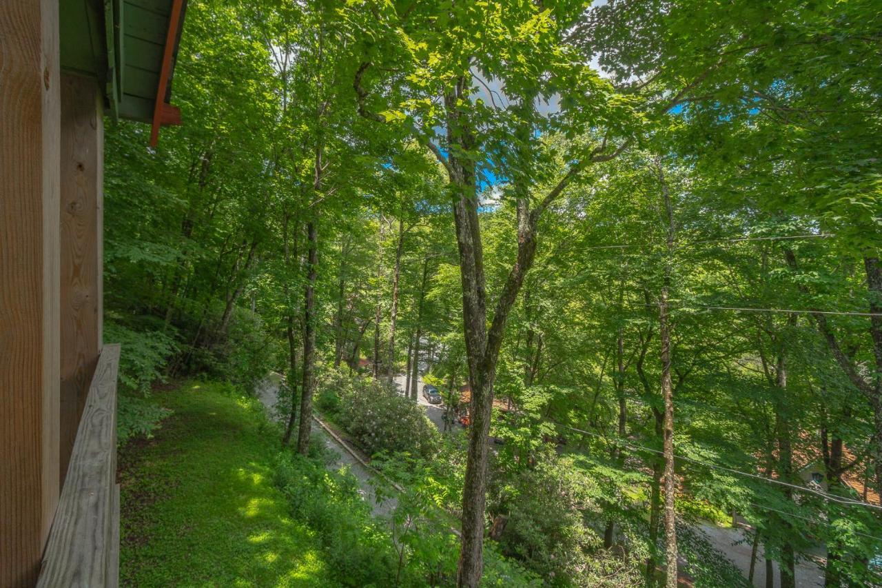 Swiss Mountain Village Блоуинг-Рок Экстерьер фото